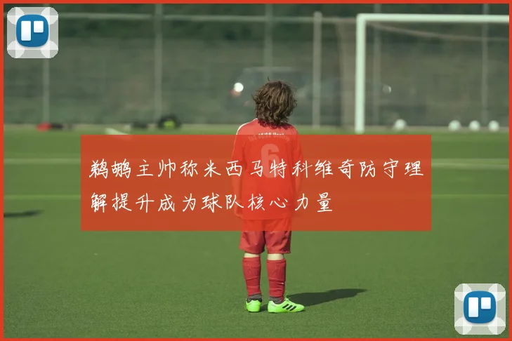 鹈鹕主帅称米西马特科维奇防守理解提升成为球队核心力量
