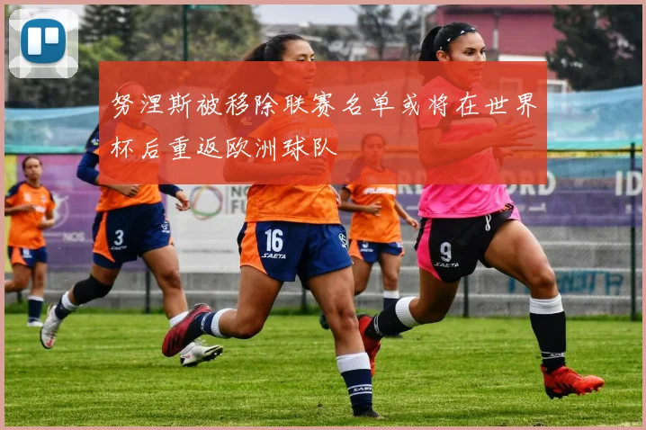 努涅斯被移除联赛名单或将在世界杯后重返欧洲球队